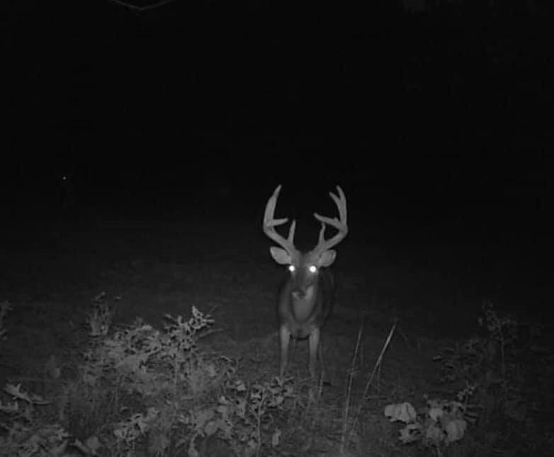 0 Cox Ferry Road Bentonia, MS 39040 - Photo 2 of 5 Photo 2