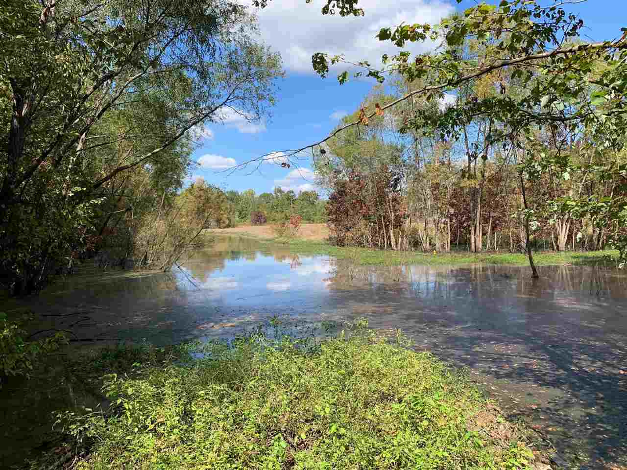 0 Cox Ferry Road Bentonia, MS 39040 - Photo 5 of 5 Photo 5