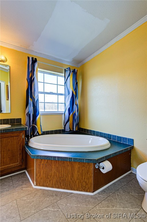 7227 Tunnel Mill Road Marysville, IN 47141 - Photo 26 of 43 Soaking tub - patch on ceiling from removing skylight