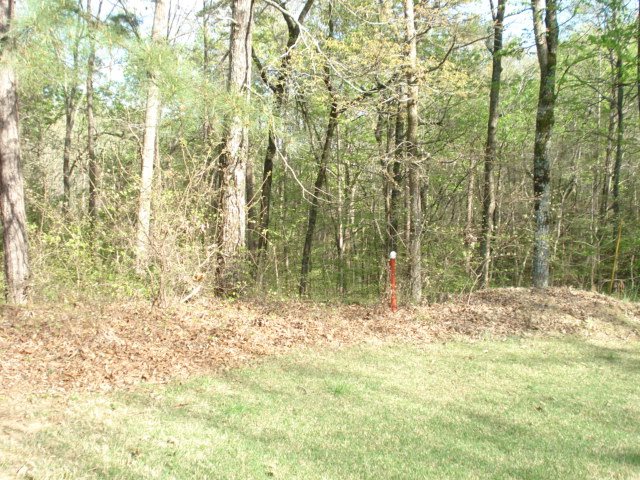 505 A Briar Creek Road Counce, TN 38326 - Photo 2 of 3