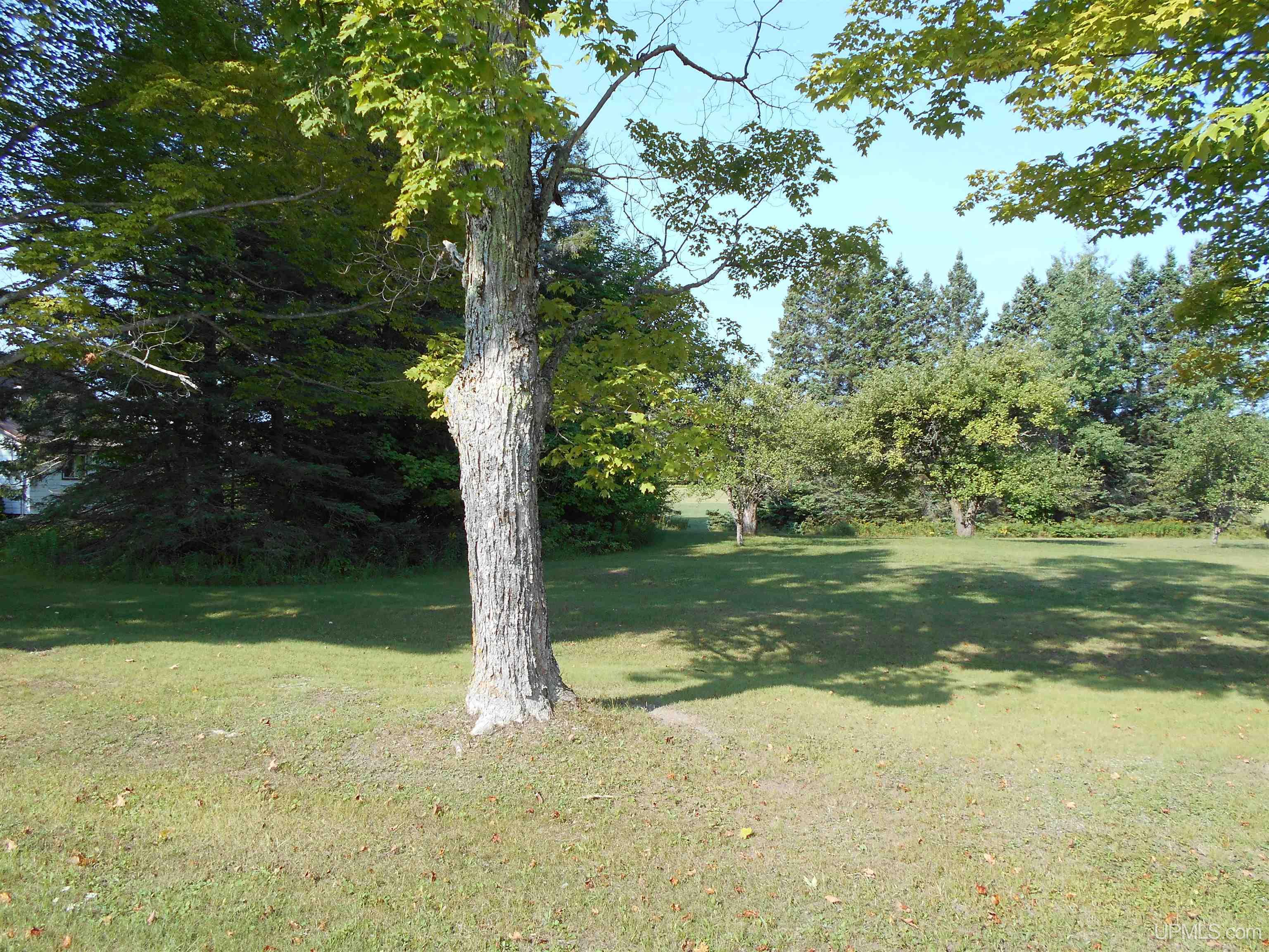 1727 N West Kendall Road Manistique, MI 49854 - Photo 12 of 49