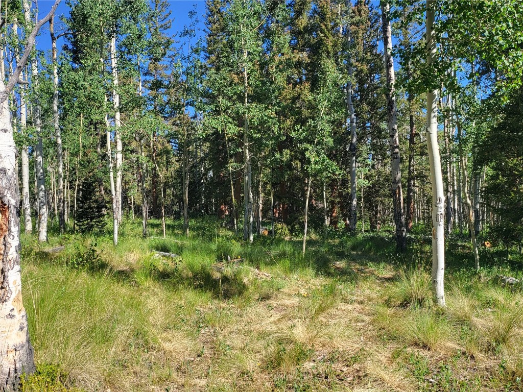 938 Georgia Pass Lookout Road Jefferson, CO 80456 - Photo 11 of 17 a backyard of a house with lots of green space and trees