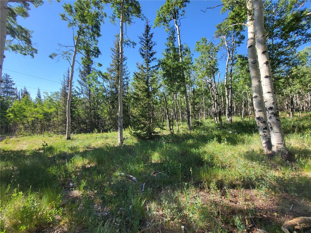 938 Georgia Pass Lookout Road Jefferson, CO 80456 - Photo 15 of 17