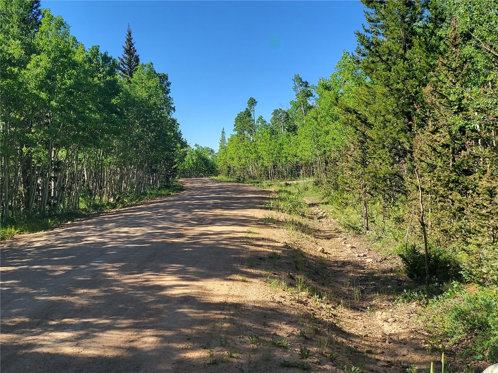 938 Georgia Pass Lookout Road Jefferson, CO 80456 - Photo 16 of 17 a view of a yard with a tree