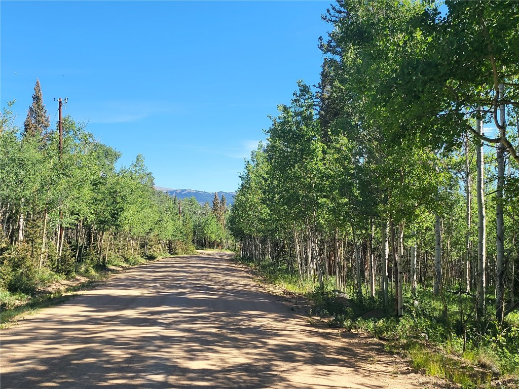 938 Georgia Pass Lookout Road Jefferson, CO 80456 - Photo 17 of 17 a view of a yard with large trees