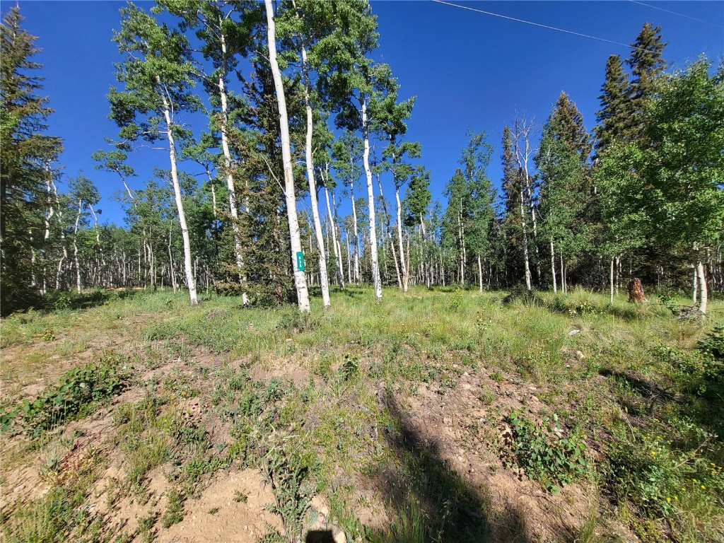 938 Georgia Pass Lookout Road Jefferson, CO 80456 - Photo 3 of 17 a green field with lots of trees in it