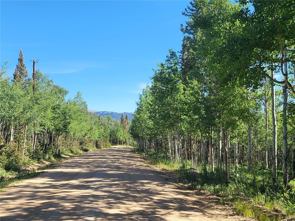 938 Georgia Pass Lookout Road Jefferson, CO 80456 - Photo 4 of 17 a view of a yard with plants and trees