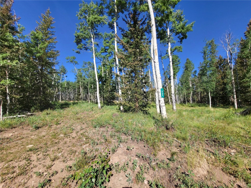 938 Georgia Pass Lookout Road Jefferson, CO 80456 - Photo 5 of 17 a view of a yard with plants