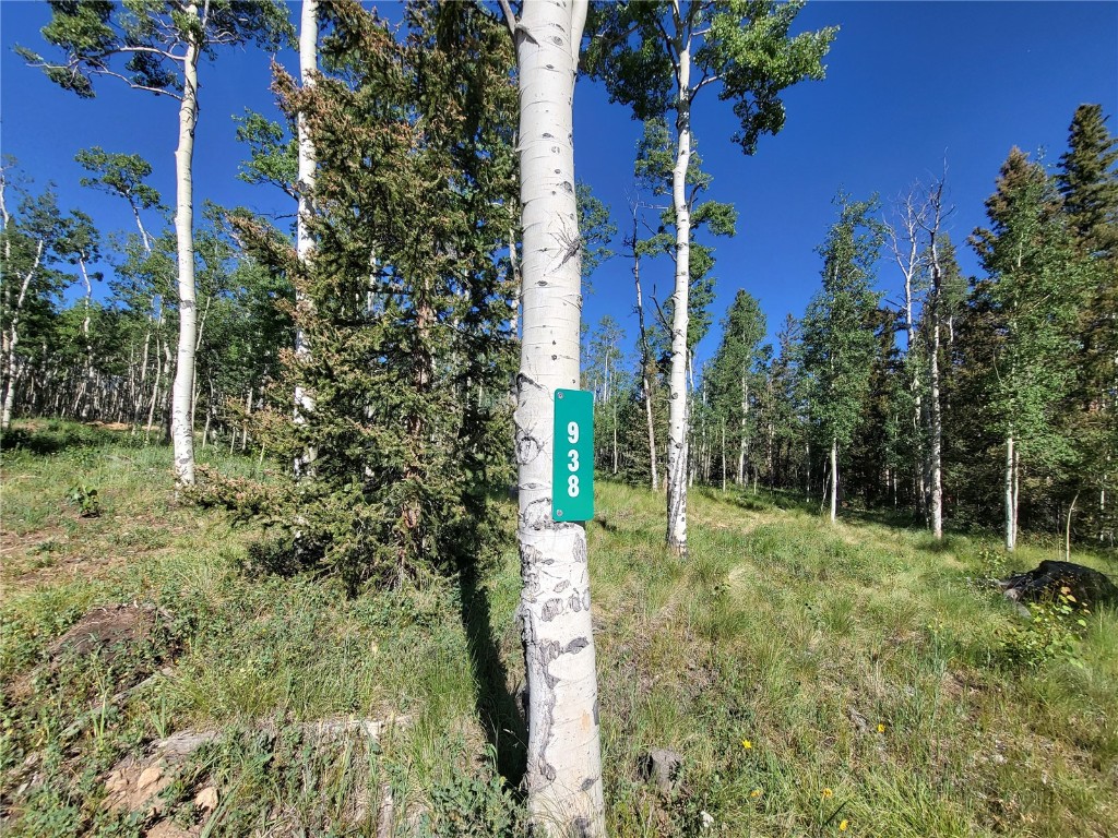 938 Georgia Pass Lookout Road Jefferson, CO 80456 - Photo 6 of 17 a view of outdoor space and garden
