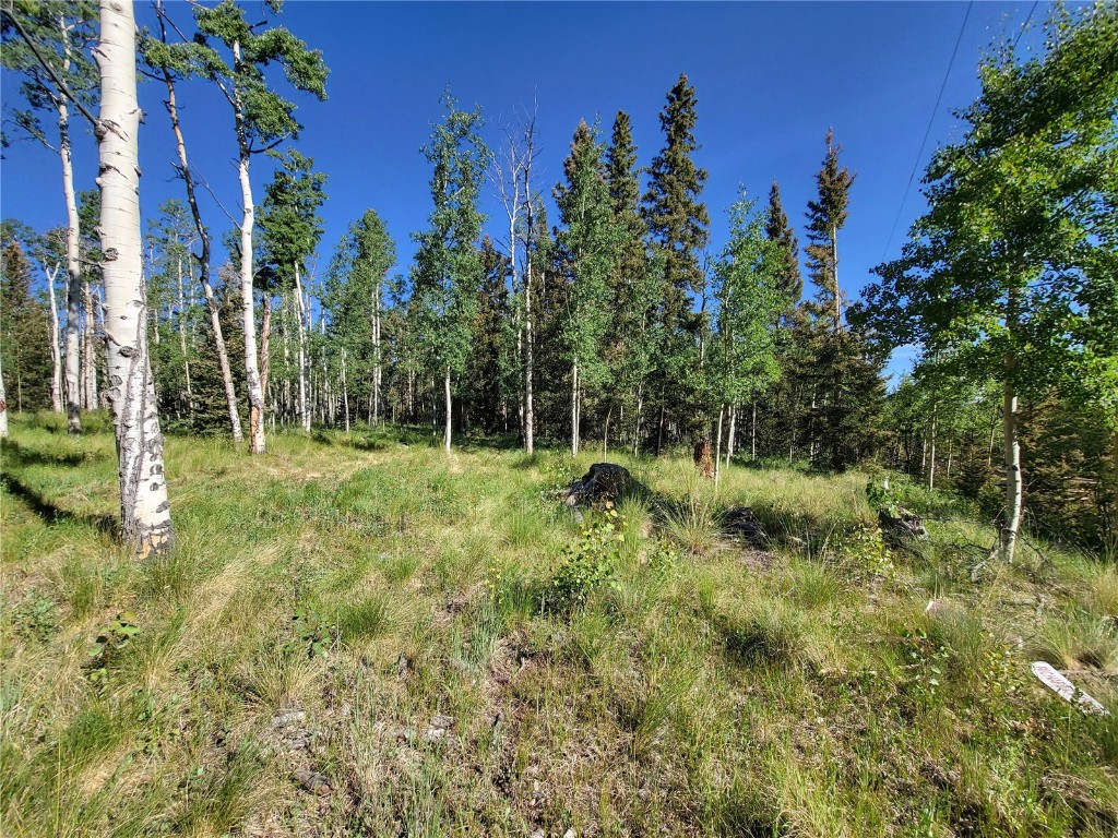 938 Georgia Pass Lookout Road Jefferson, CO 80456 - Photo 7 of 17 a view of a park with large trees