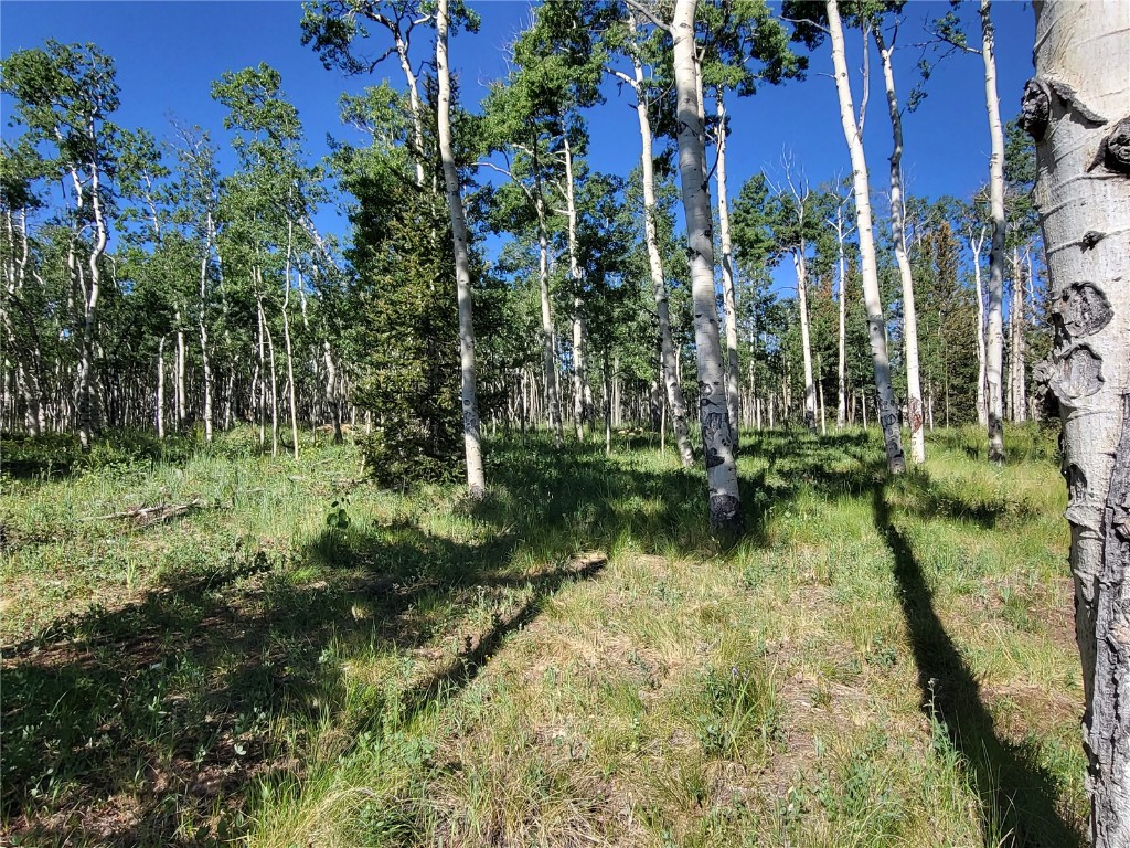 938 Georgia Pass Lookout Road Jefferson, CO 80456 - Photo 9 of 17 a view of lake