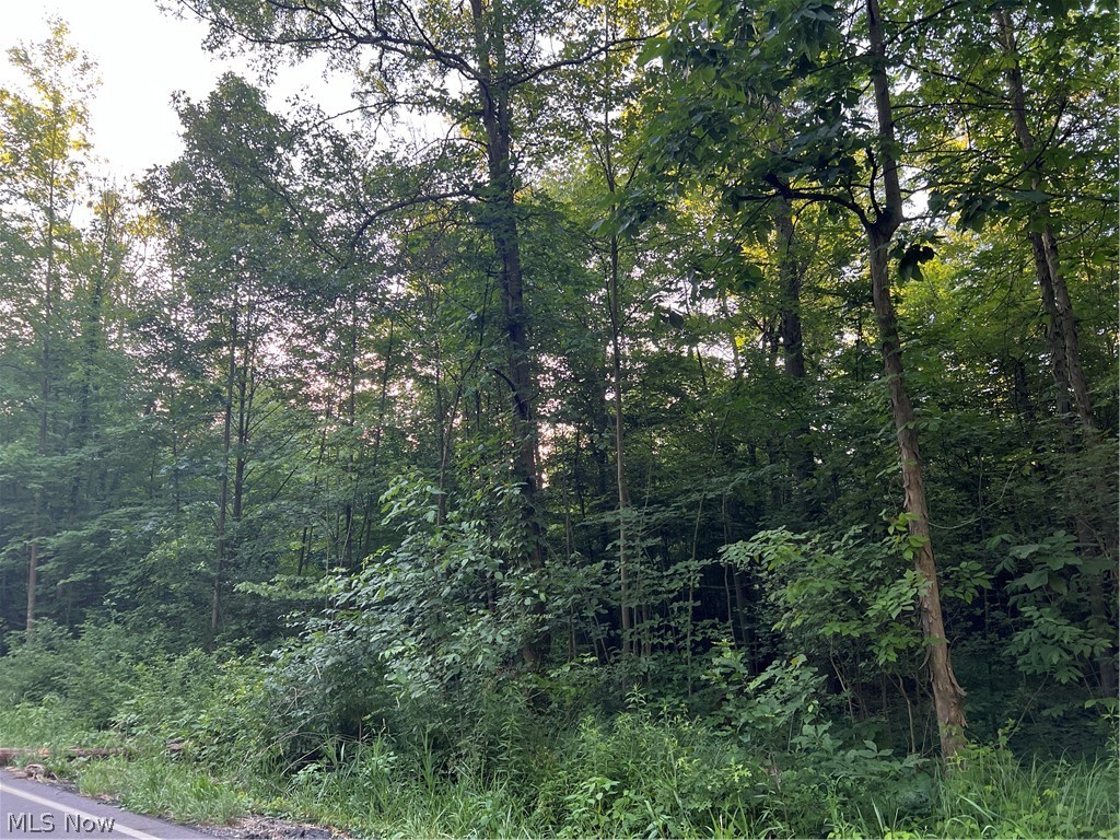 Western Reserve Road Berlin Center, OH 44401 - Photo 6 of 12 Gallery Image 6