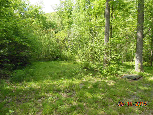 8644 Briery Branch Road Dayton, VA 22821 - Photo 3 of 10 a view of a big yard with plants and large trees
