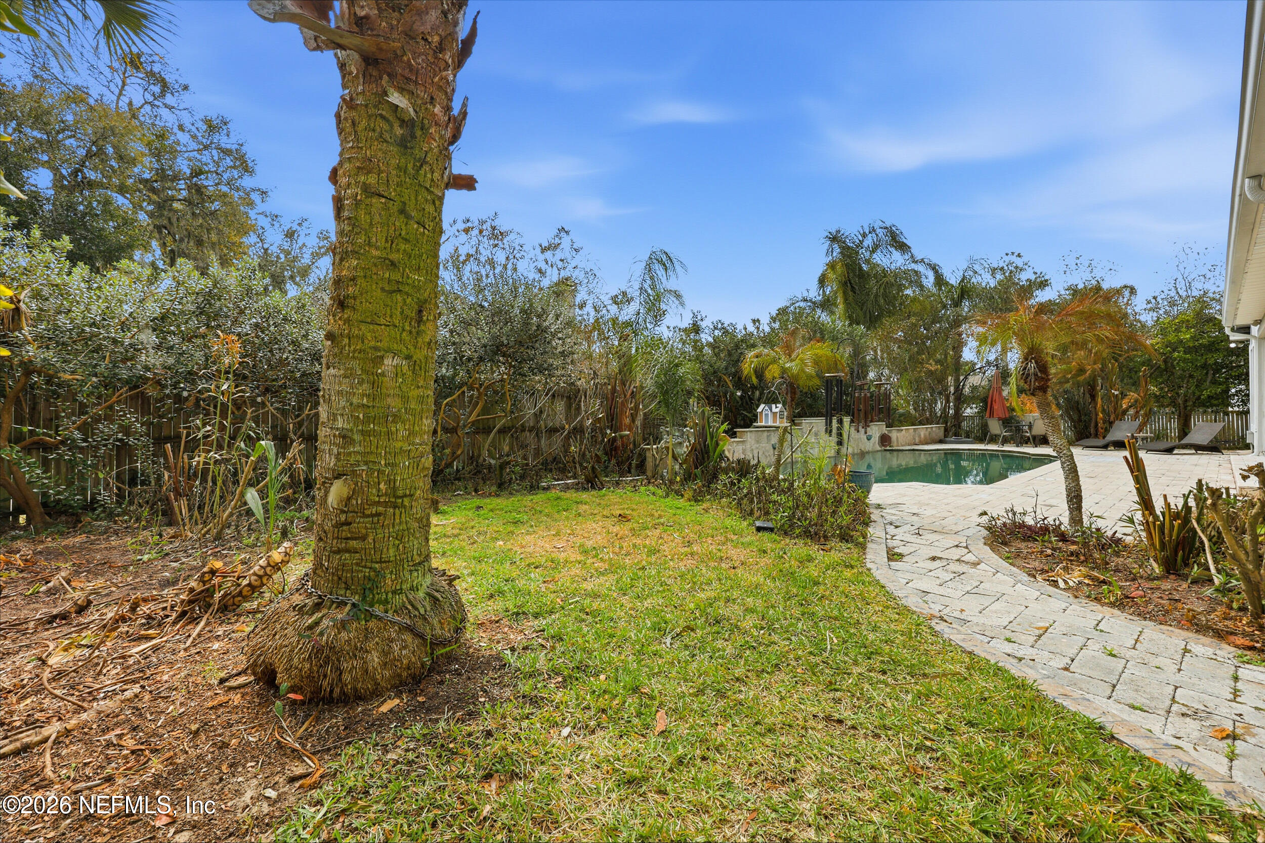 40 Tallwood Road Jacksonville Beach, FL 32250 - Photo 57 of 75 a view of a yard with an trees