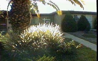3962 North Pomona Road Tucson, AZ 85705 - Photo 1 of 1