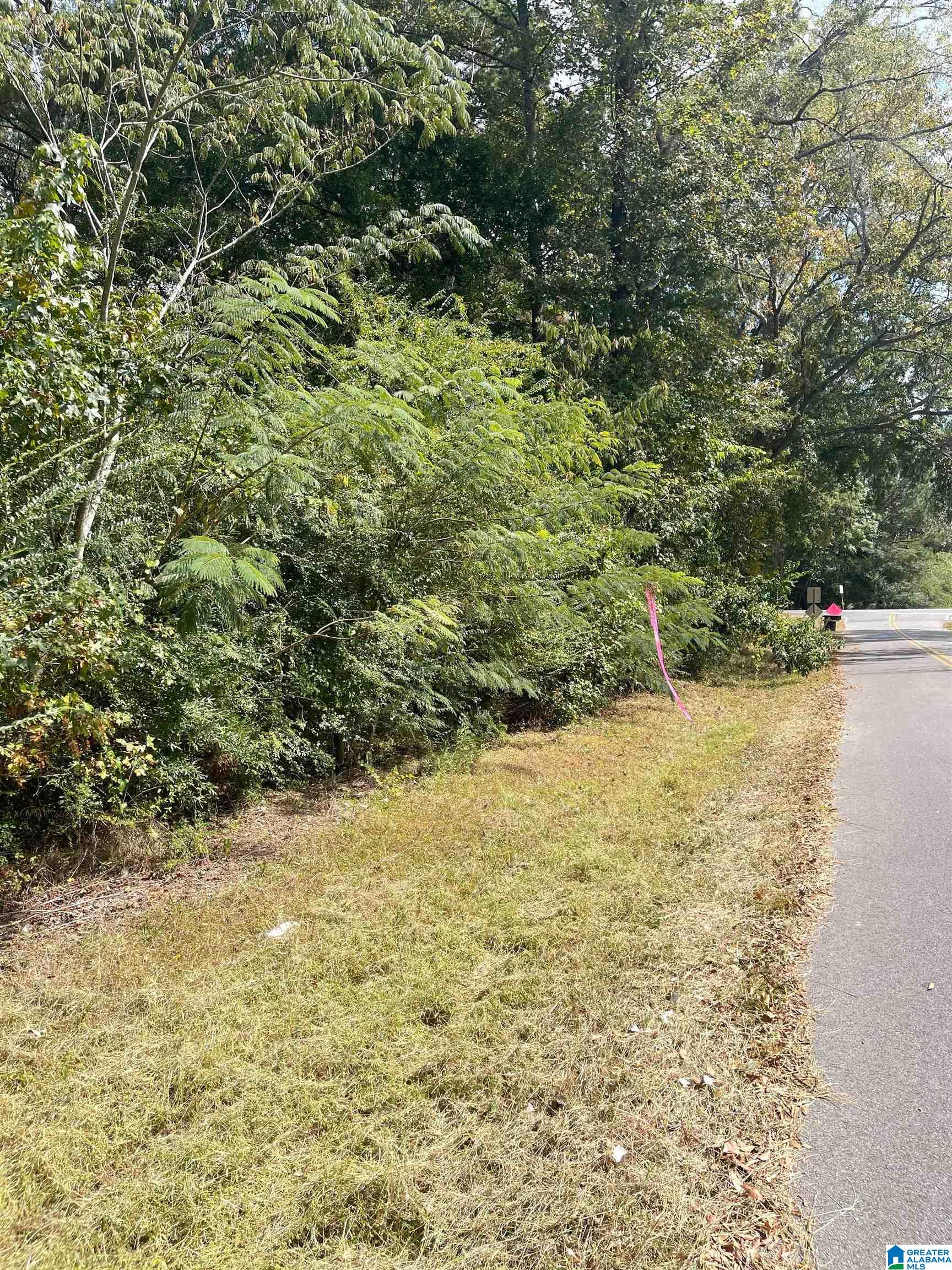 Heritage Road, Unit 12 Shelby, AL 35143 - Photo 2 of 4