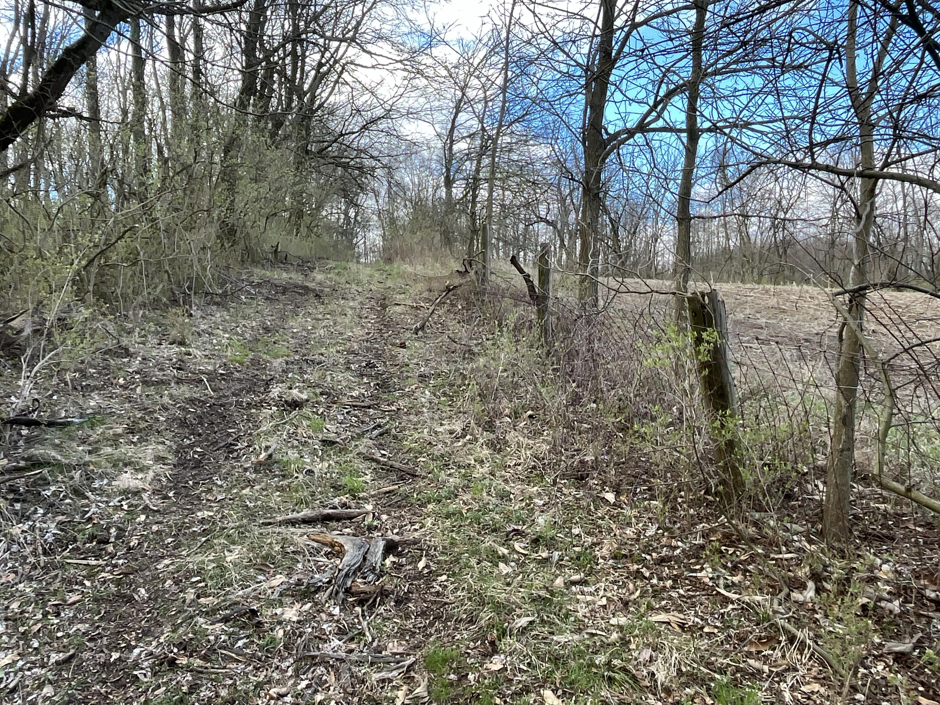 O Flatfoot Road Cable, OH 43009 - Photo 24 of 52