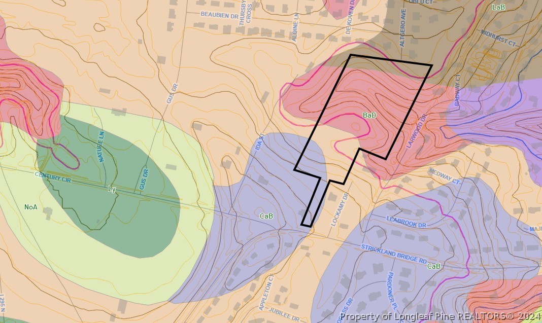 Strickland Bridge Road Fayetteville, NC 28306 - Photo 3 of 4