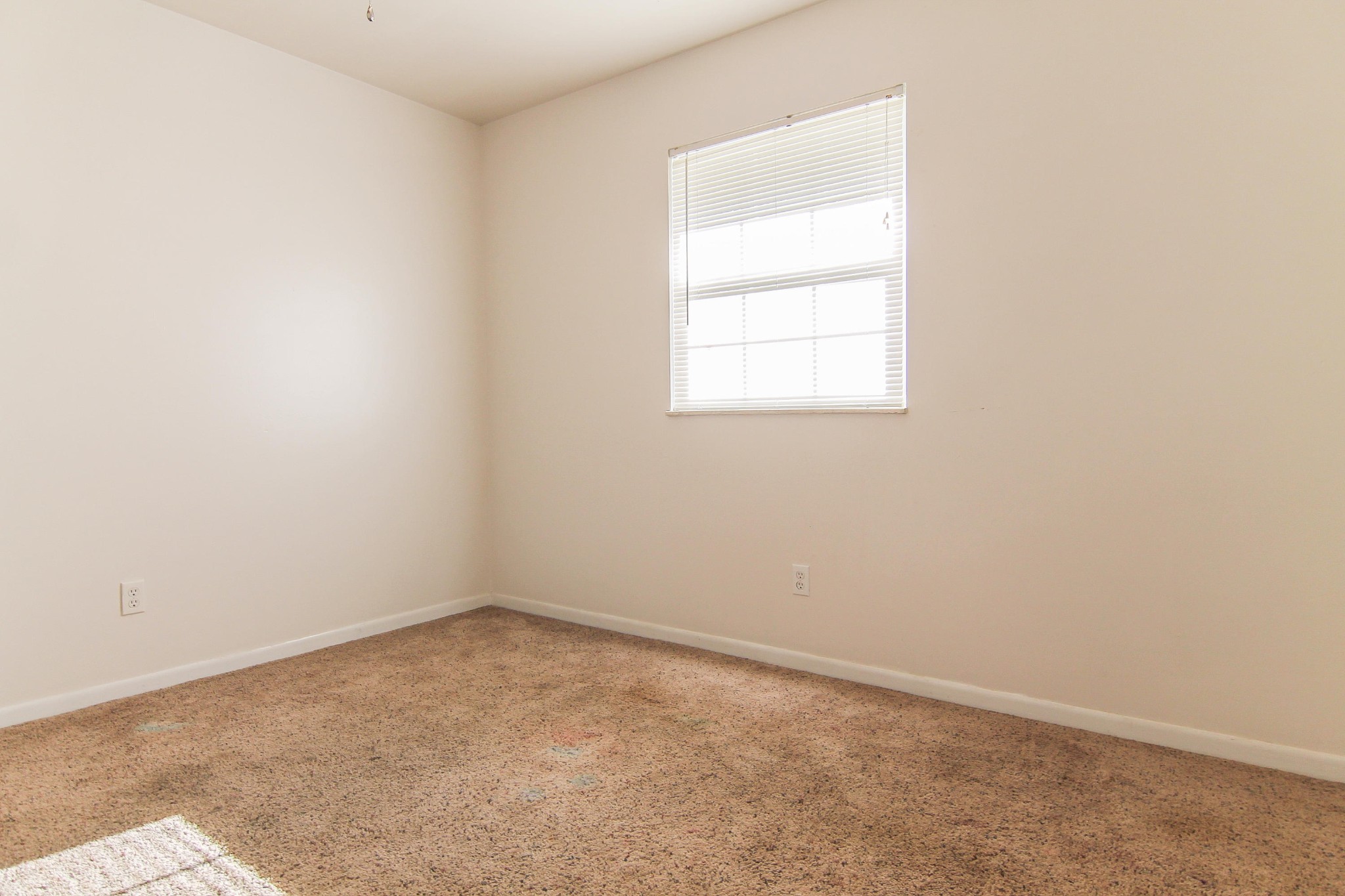 3325 Dewine Road Knoxville, TN 37921 - Photo 18 of 20 Gallery Image 18