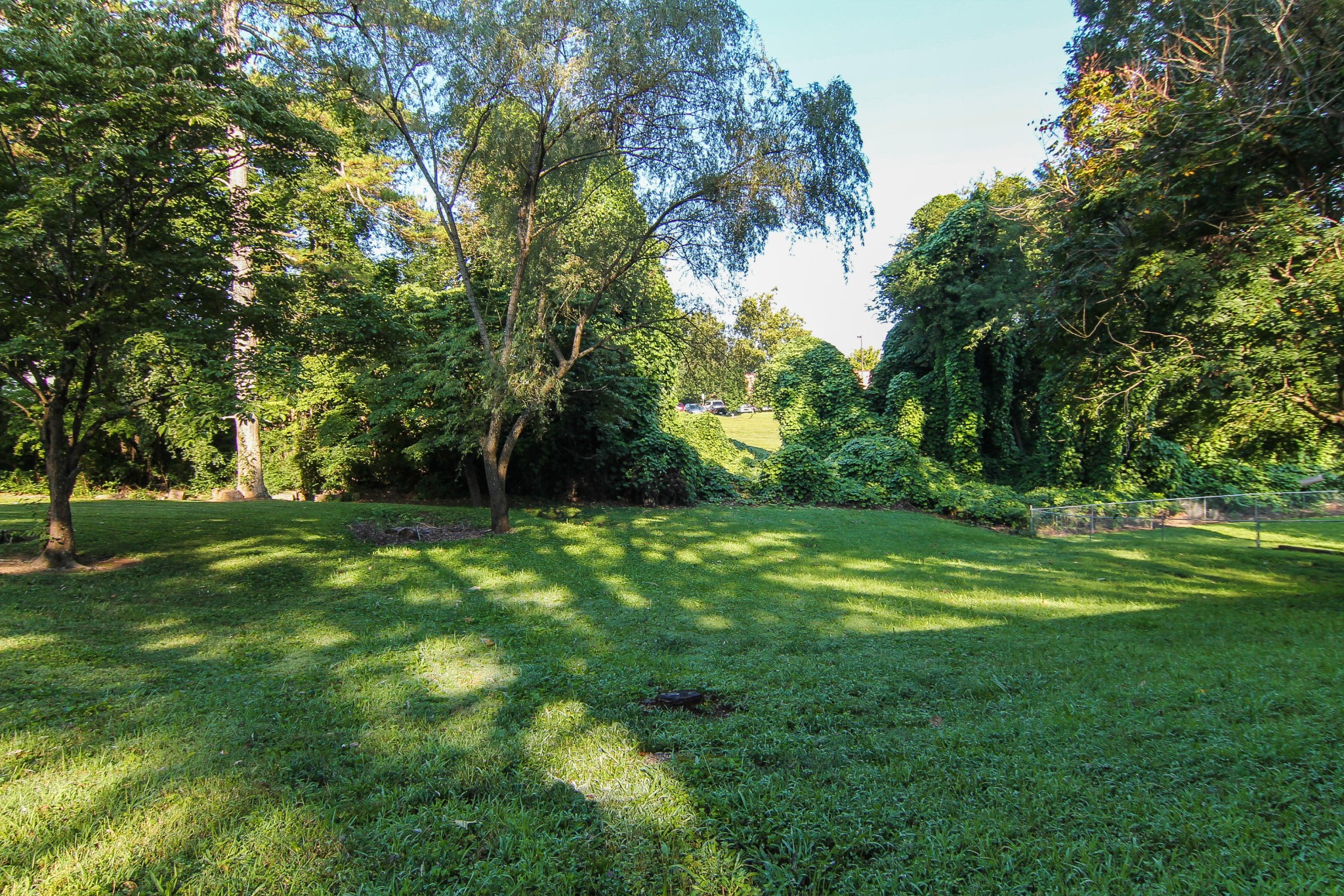 3325 Dewine Road Knoxville, TN 37921 - Photo 4 of 20 Gallery Image 4