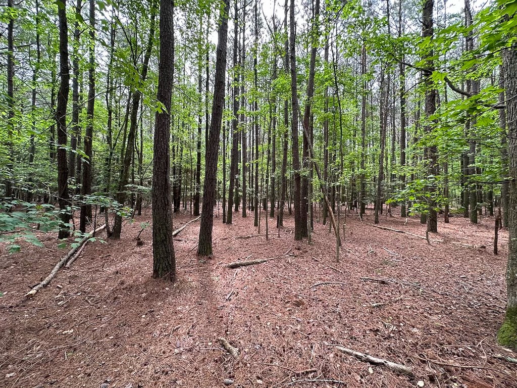 1.75-ac 1.75-ac Kegotank Road, Unit 2 Bloxom, VA 23308 - Photo 3 of 18
