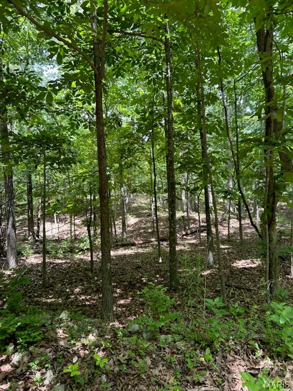 0 Hargrove Road St. Robert, MO 65584 - Photo 6 of 9