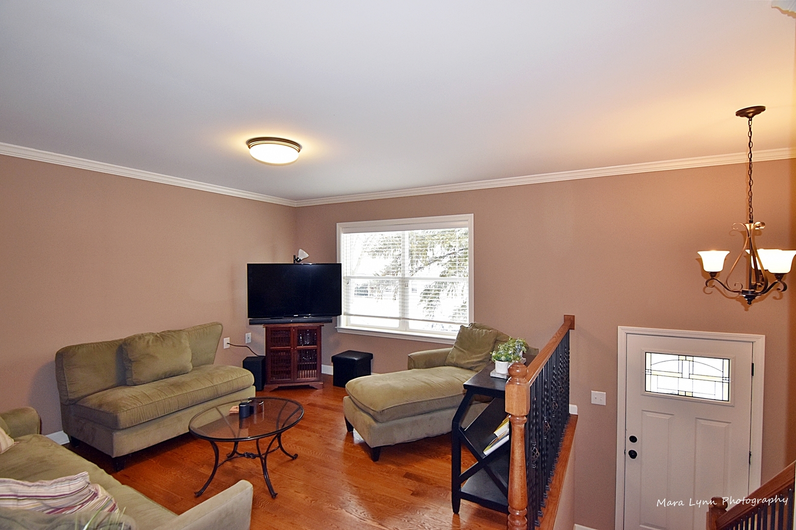 226 Hemlock Avenue Romeoville, IL 60446 - Photo 4 of 29 Gallery Image 4