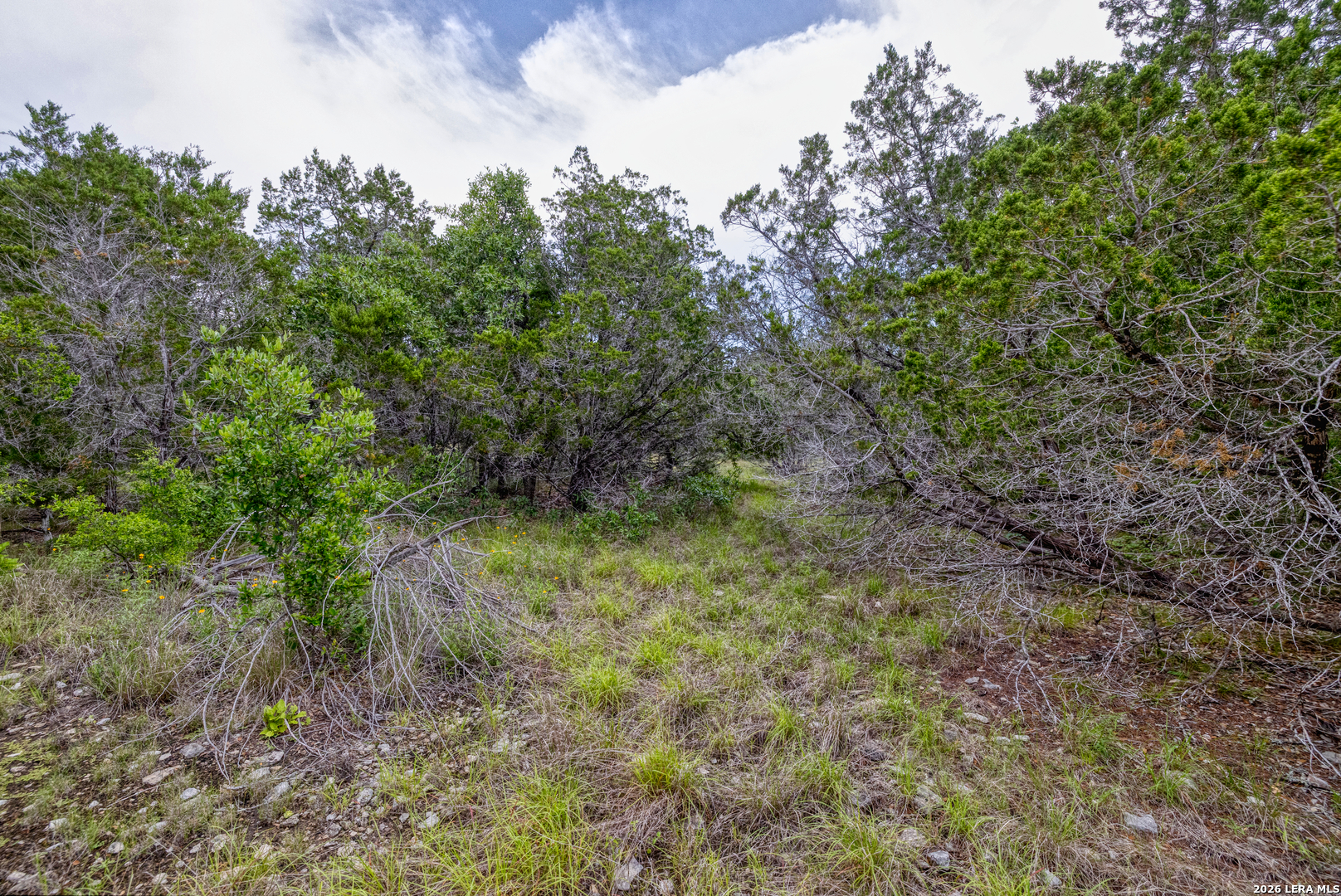 Lot 154 1796th Ranch D'Hanis, TX 78850 - Photo 7 of 18