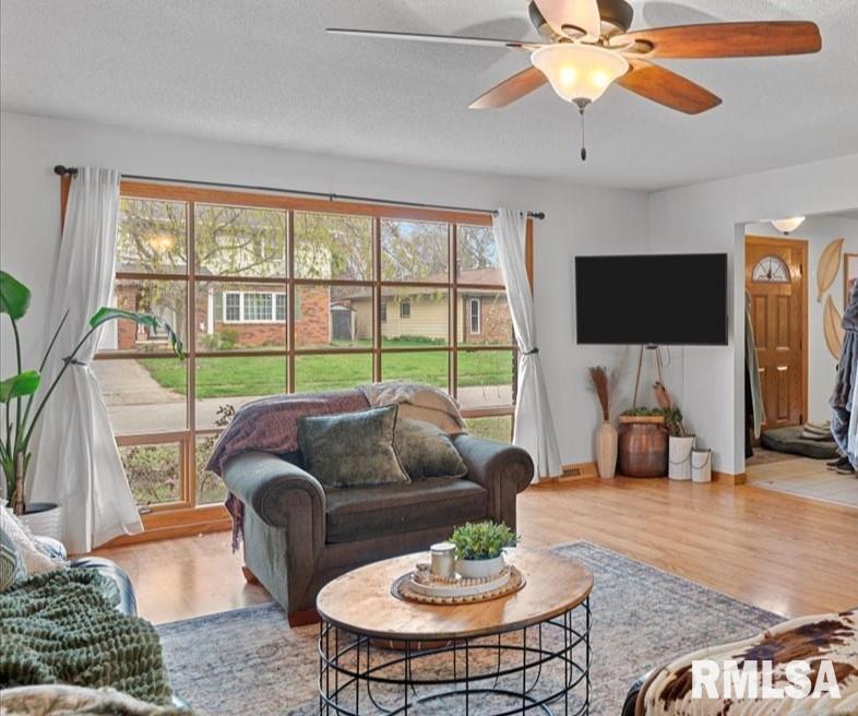 308 Astoria Road Springfield, IL 62704 - Photo 3 of 28