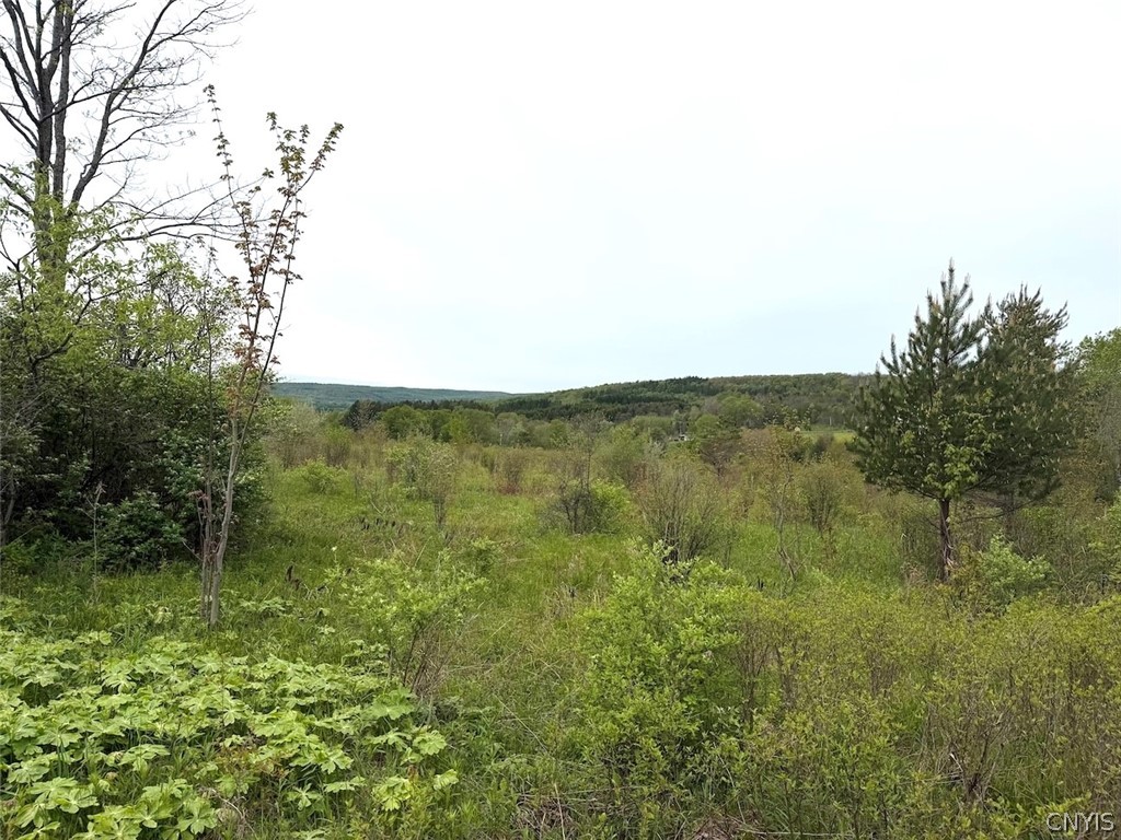 Reynolds Road Franklinville, NY 14737 - Photo 28 of 38