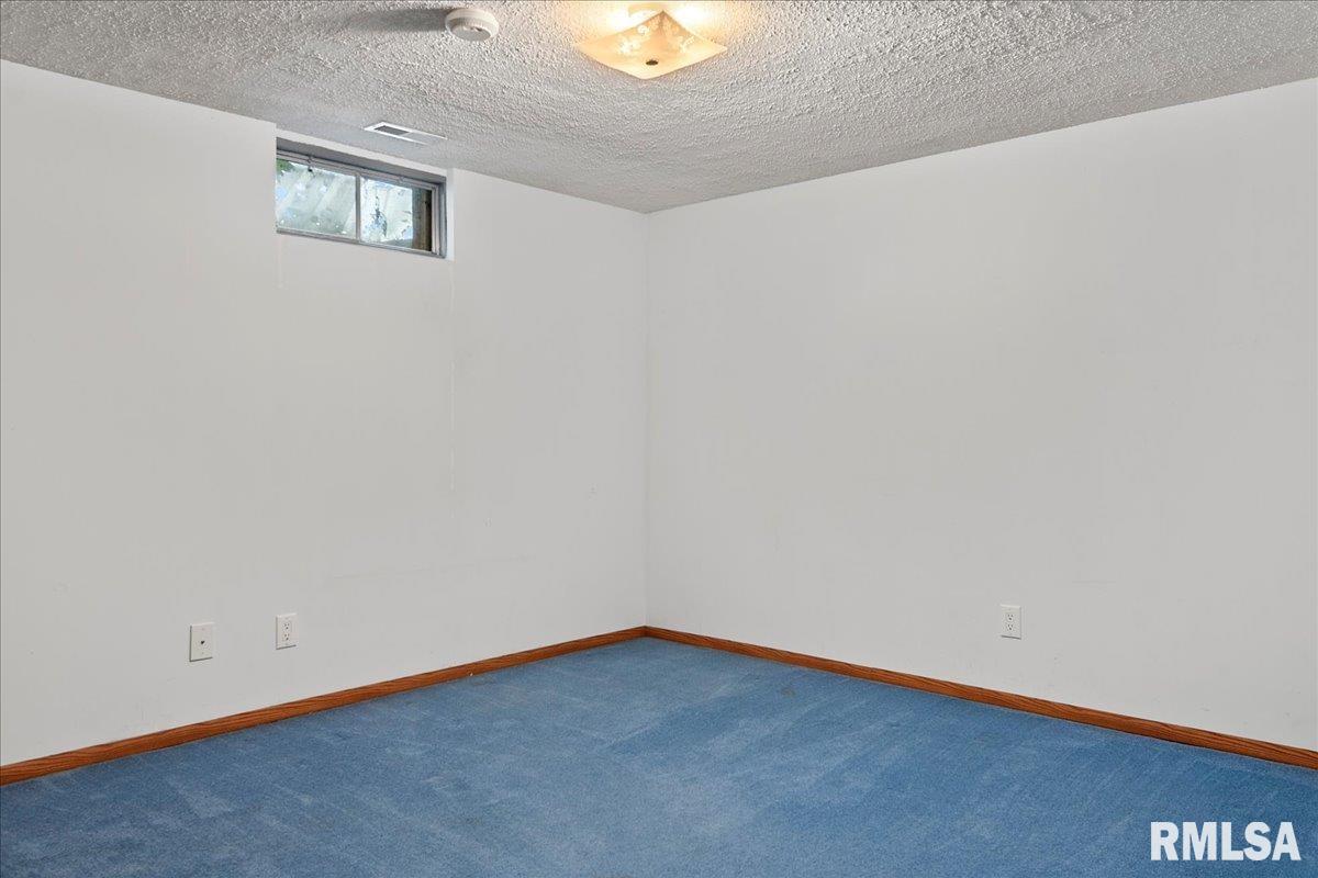 4841 Cockrell Lane Springfield, IL 62711 - Photo 48 of 67