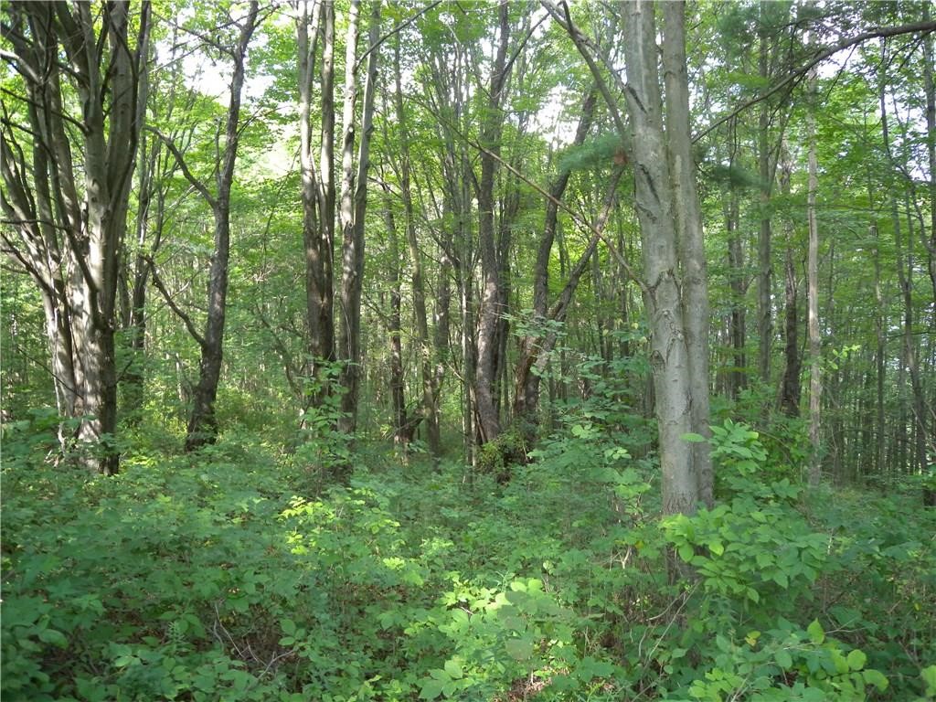 1454 Crane Lane Woodhull, NY 14801 - Photo 13 of 21