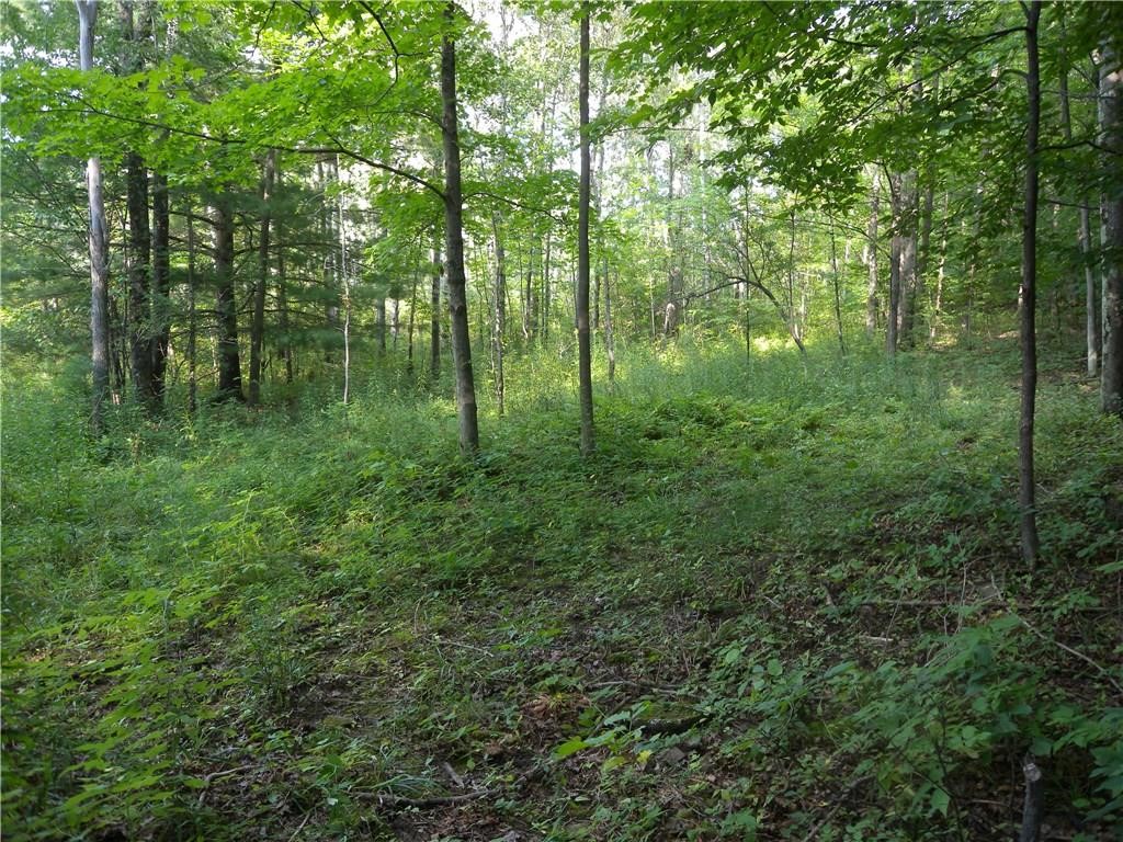 1454 Crane Lane Woodhull, NY 14801 - Photo 14 of 21