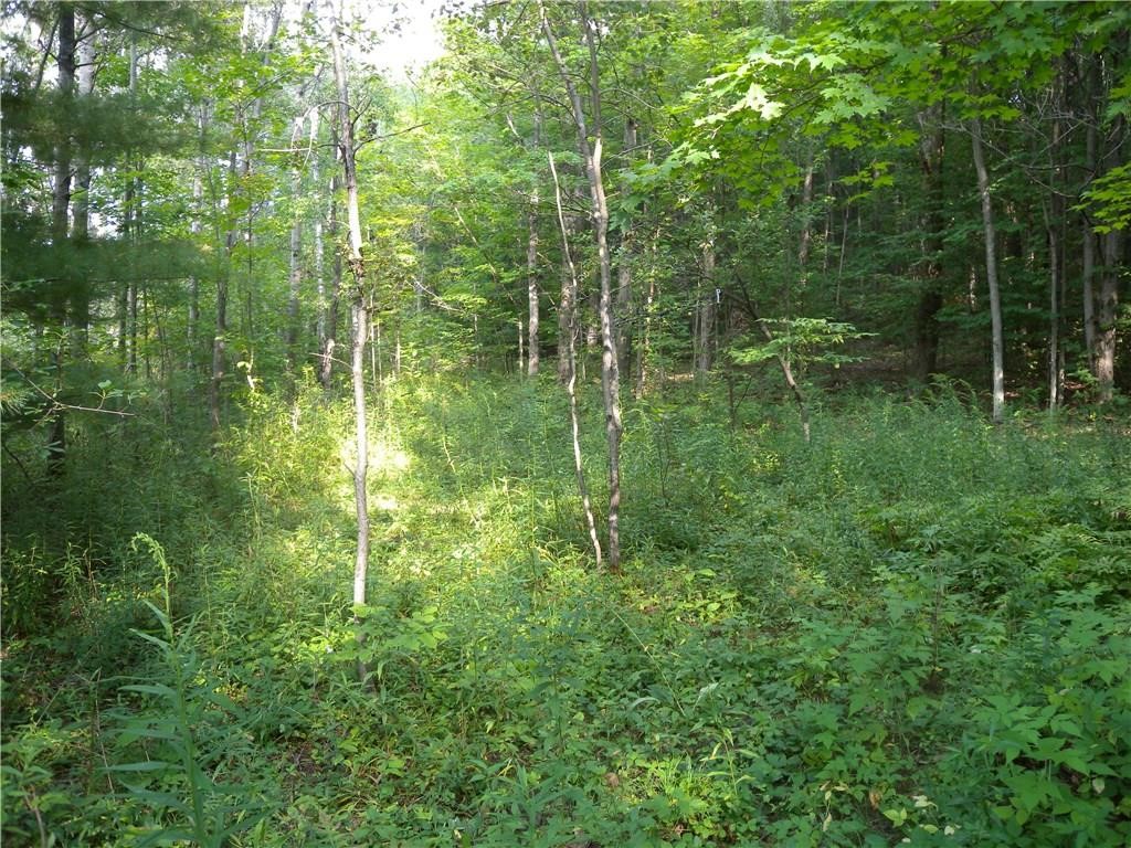 1454 Crane Lane Woodhull, NY 14801 - Photo 15 of 21