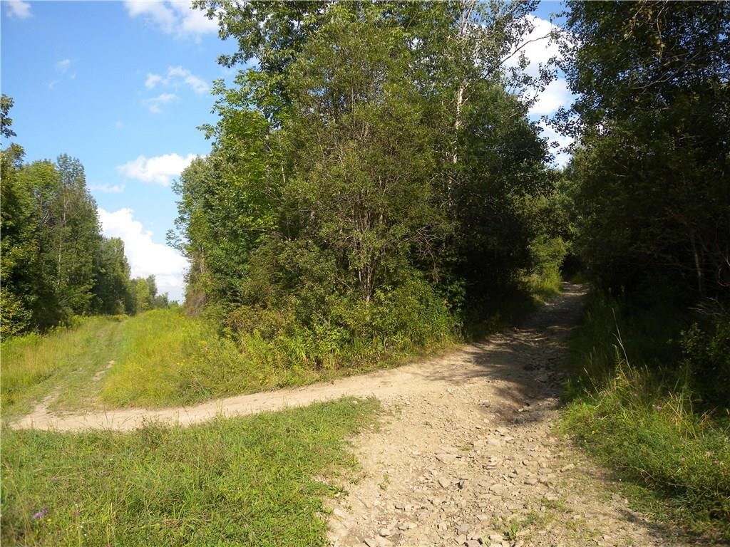 1454 Crane Lane Woodhull, NY 14801 - Photo 16 of 21