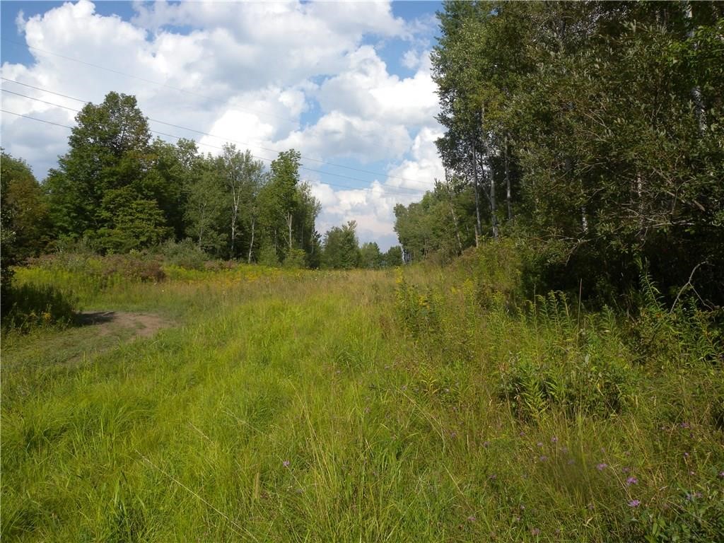 1454 Crane Lane Woodhull, NY 14801 - Photo 17 of 21