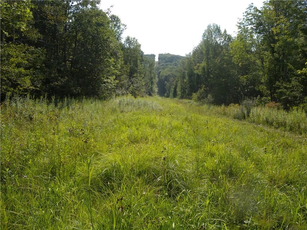 1454 Crane Lane Woodhull, NY 14801 - Photo 18 of 21