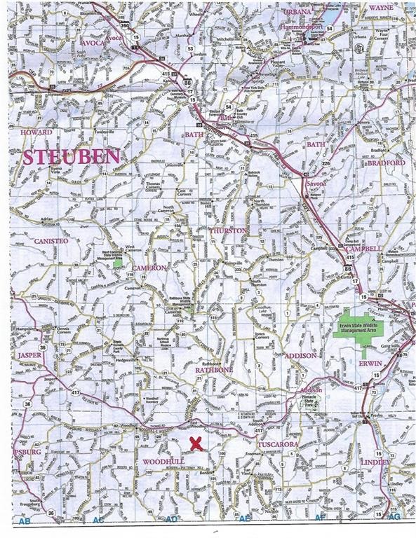 1454 Crane Lane Woodhull, NY 14801 - Photo 19 of 21