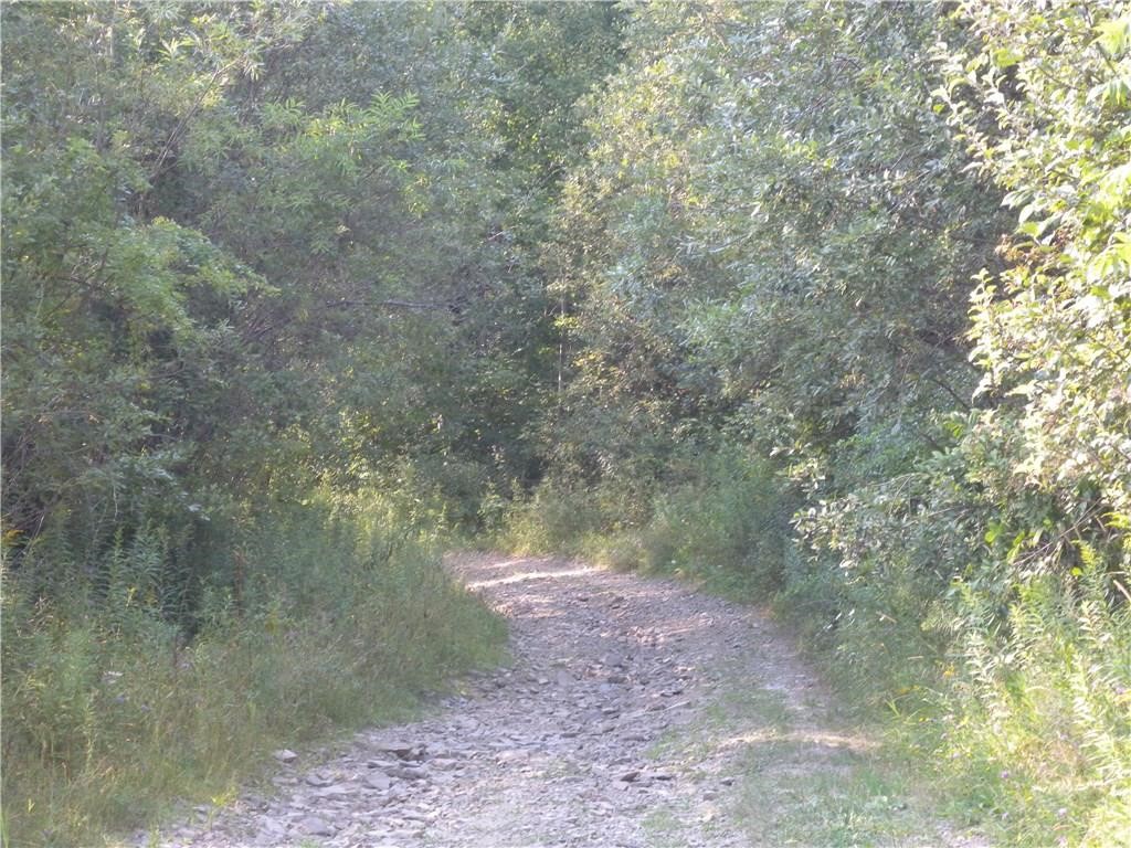 1454 Crane Lane Woodhull, NY 14801 - Photo 4 of 21