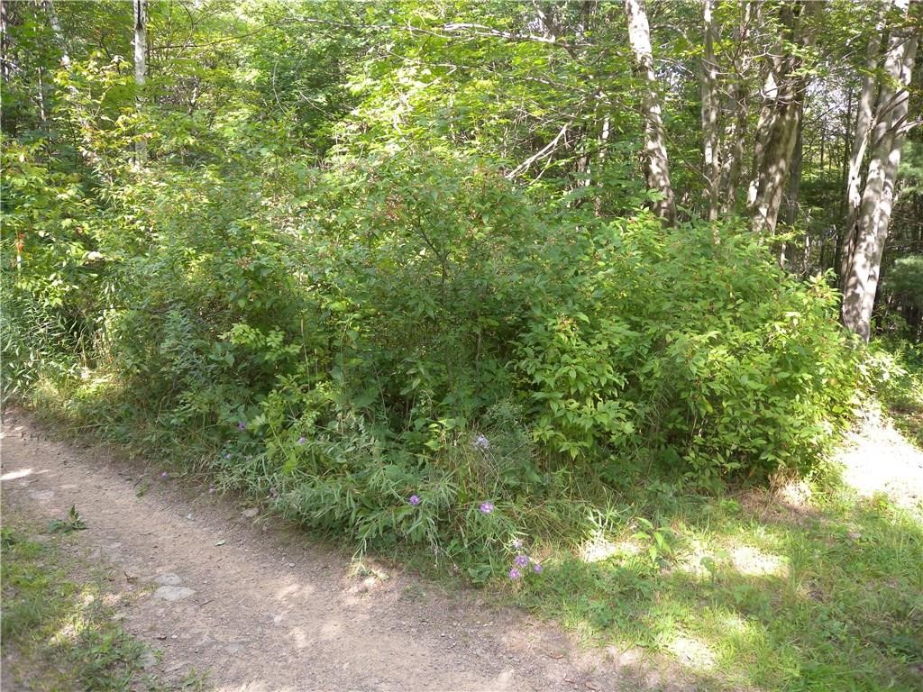 1454 Crane Lane Woodhull, NY 14801 - Photo 5 of 21