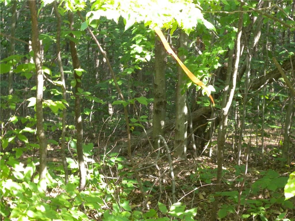 1454 Crane Lane Woodhull, NY 14801 - Photo 6 of 21