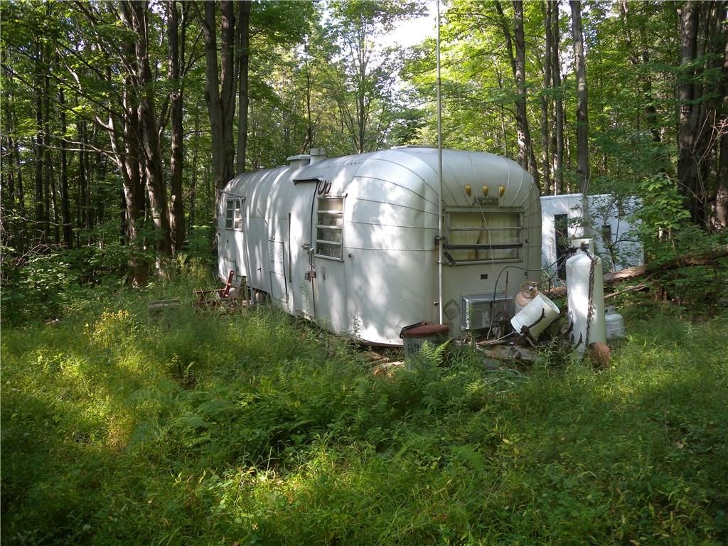 1454 Crane Lane Woodhull, NY 14801 - Photo 7 of 21