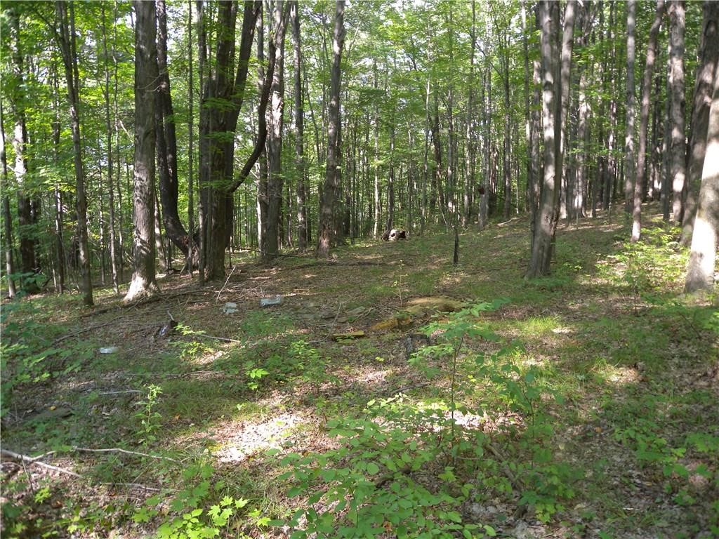 1454 Crane Lane Woodhull, NY 14801 - Photo 9 of 21