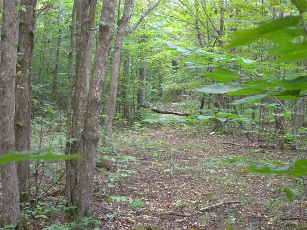 1454 Crane Lane Woodhull, NY 14801 - Photo 10 of 21