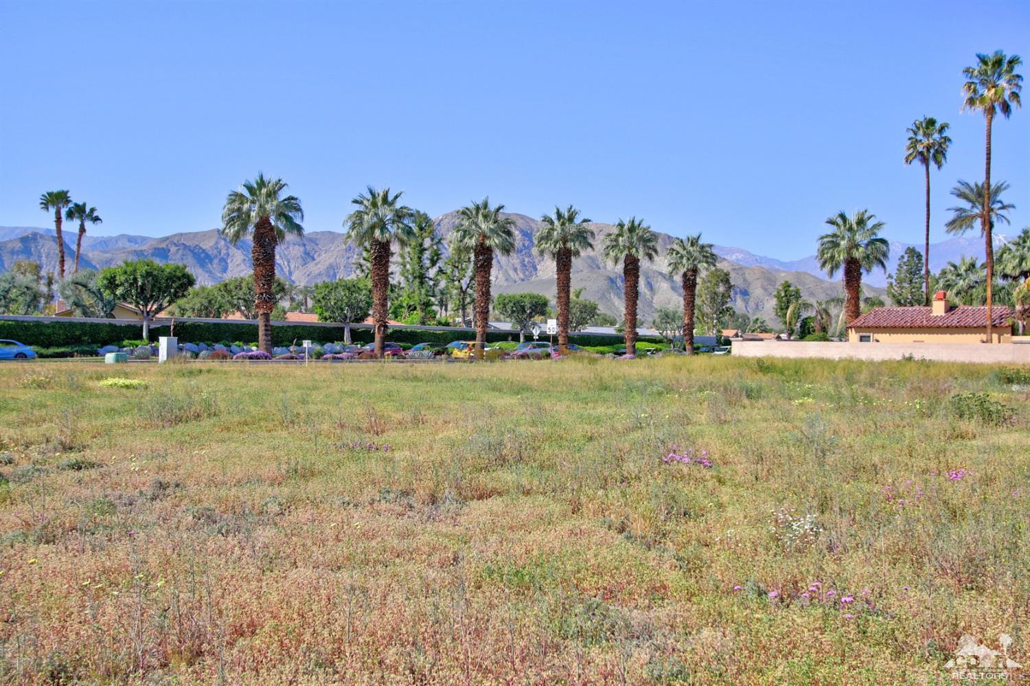 a view of a park with large trees