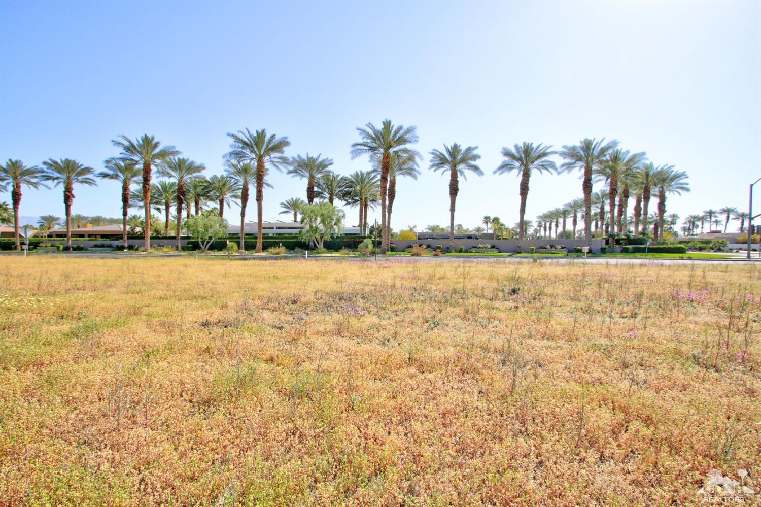 0 Thompson Road Rancho Mirage, CA 92270 - Photo 16 of 18 a view of a lake with palm trees