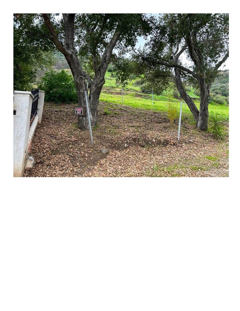 8600 Day Sunland, CA 91040 - Photo 4 of 14 a view of a backyard