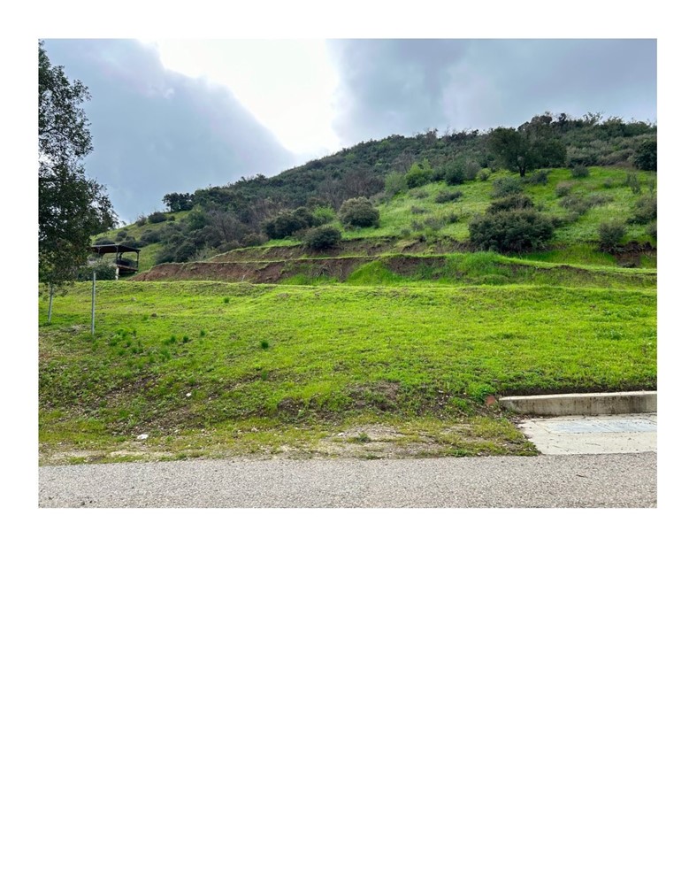 8600 Day Sunland, CA 91040 - Photo 7 of 14 a view of a grassy field with trees