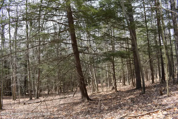 $589,000 | 0 Olszewski Road, Montrose, PA 18801
