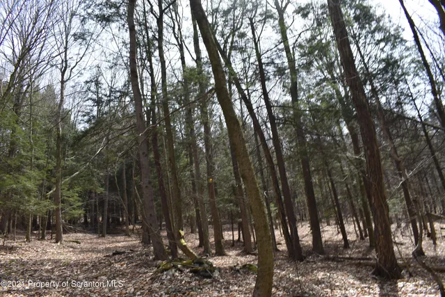 a view of outdoor space